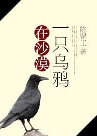 A crow in the desert