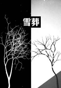 Snow Burial: Secret Love Poems from Winter